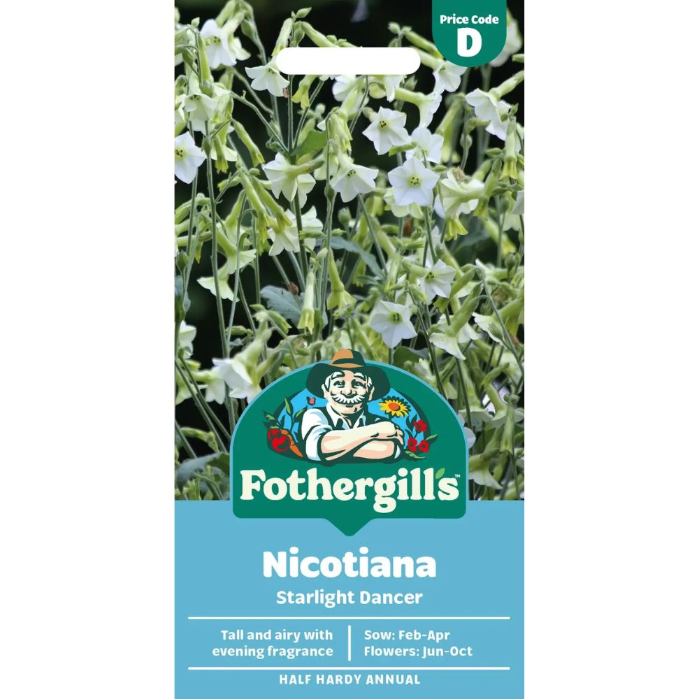 Mr Fothergill's Nicotiana Starlight Dancer Flower Seeds