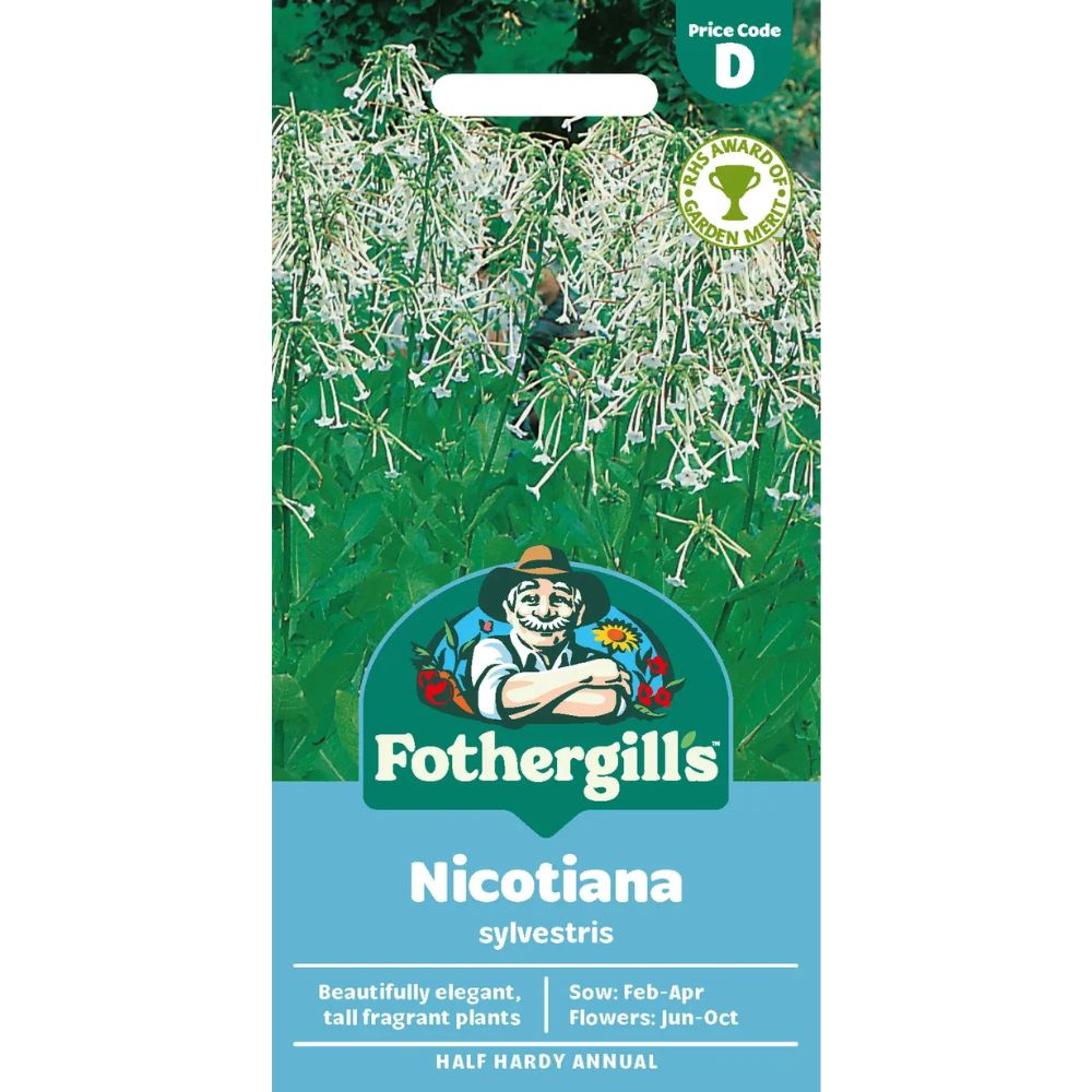 Mr Fothergill's Nicotiana sylvestris Seeds