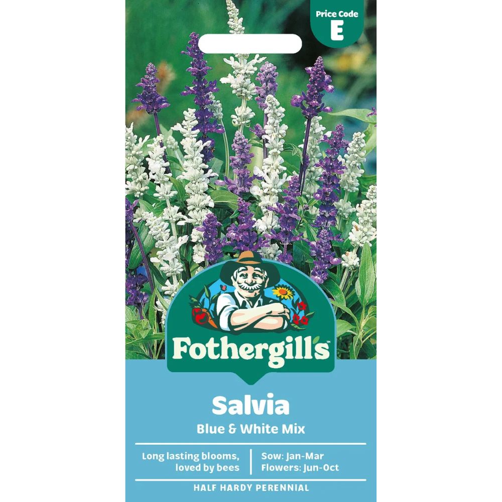 Mr Fothergill's Salvia Blue & White Mixed Seeds