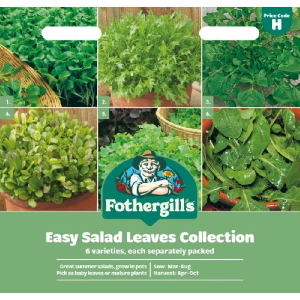 Mr Fothergill's Seed Collection Salad Leaves Easy Seeds