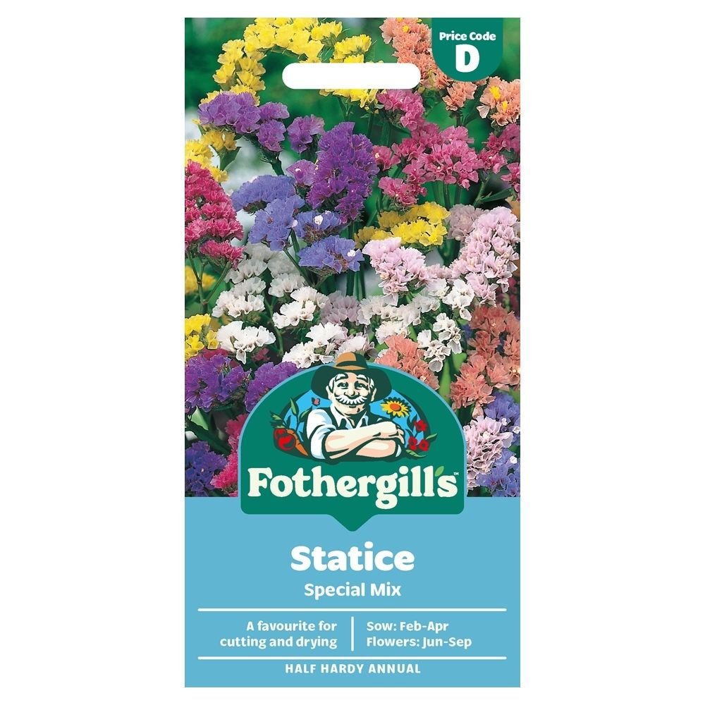 Mr Fothergill's Statice Special Mix Seeds - Old Railway Line Garden Centre