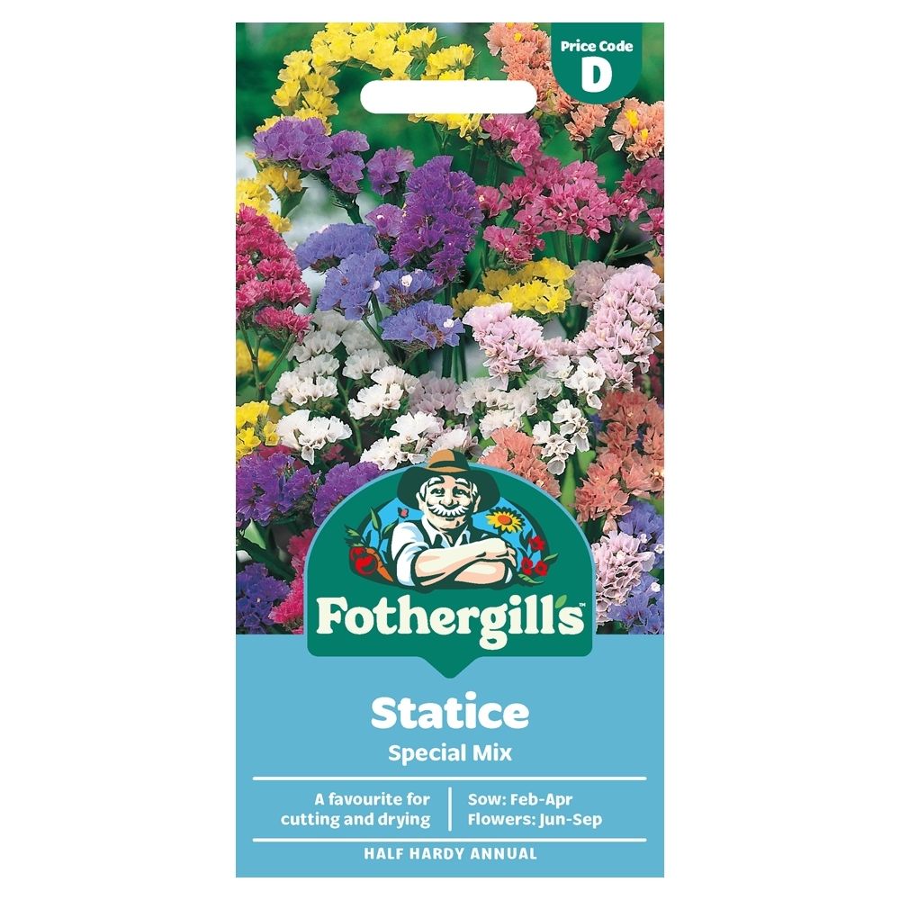 Mr Fothergill's Statice Special Mix Seeds