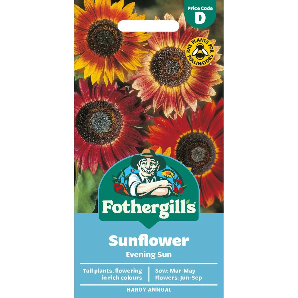 Mr Fothergills Sunflower Evening Sun Seeds