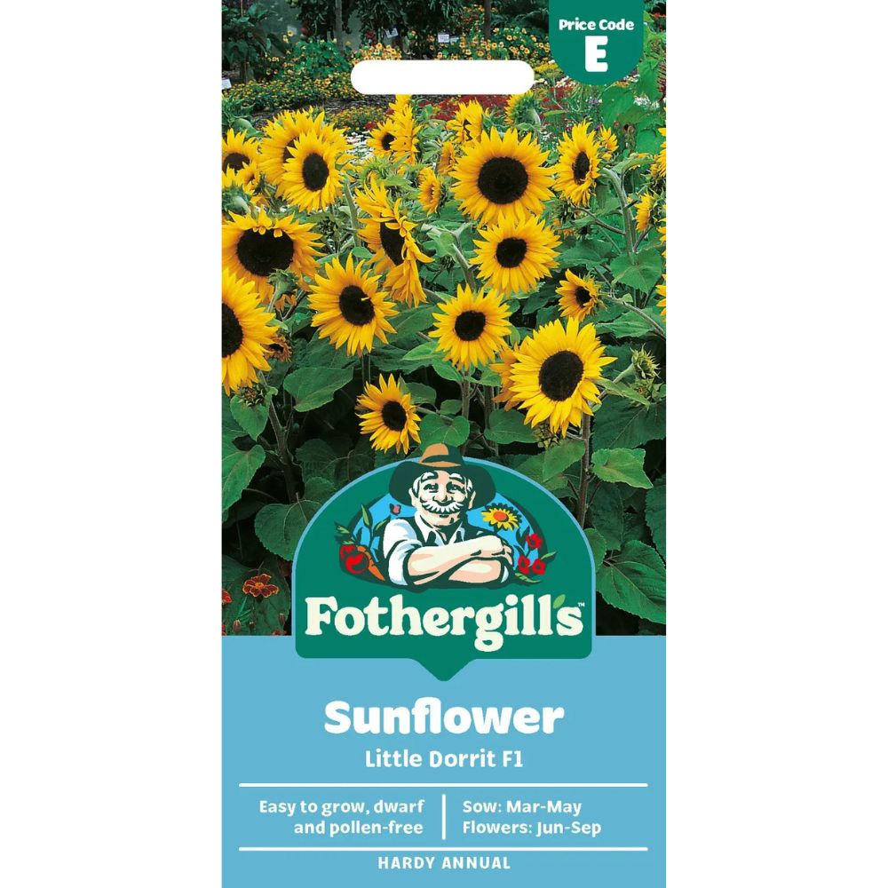 Mr Fothergills Sunflower Little Dorrit F1 Seeds