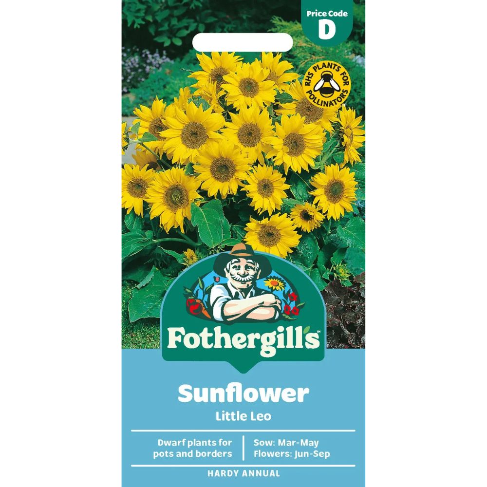 Mr Fothergills Sunflower Little Leo Seeds
