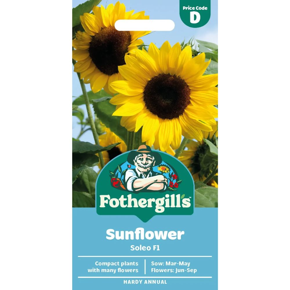 Mr Fothergill's Sunflower Soleo F1 Seeds
