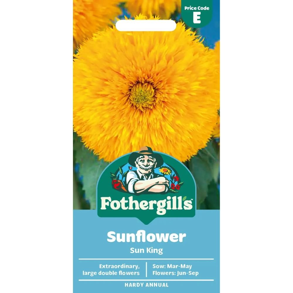 Mr Fothergills Sunflower Sun King Seeds - Old Railway Line Garden Centre