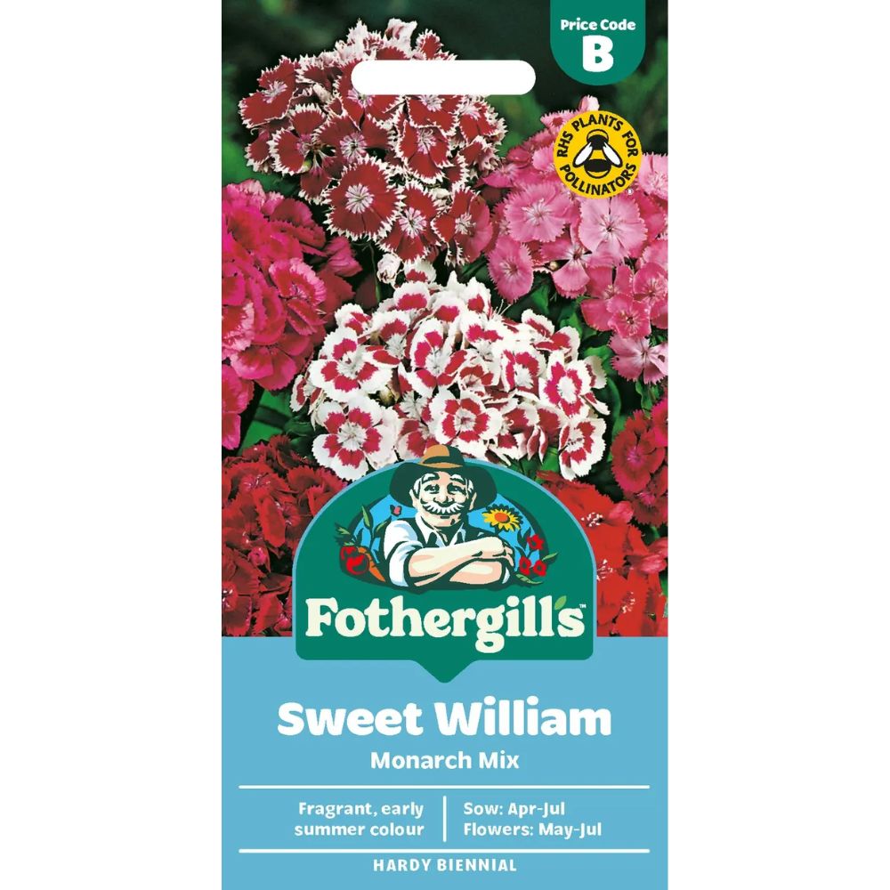 Mr Fothergill's Sweet William Single Mixed Seeds