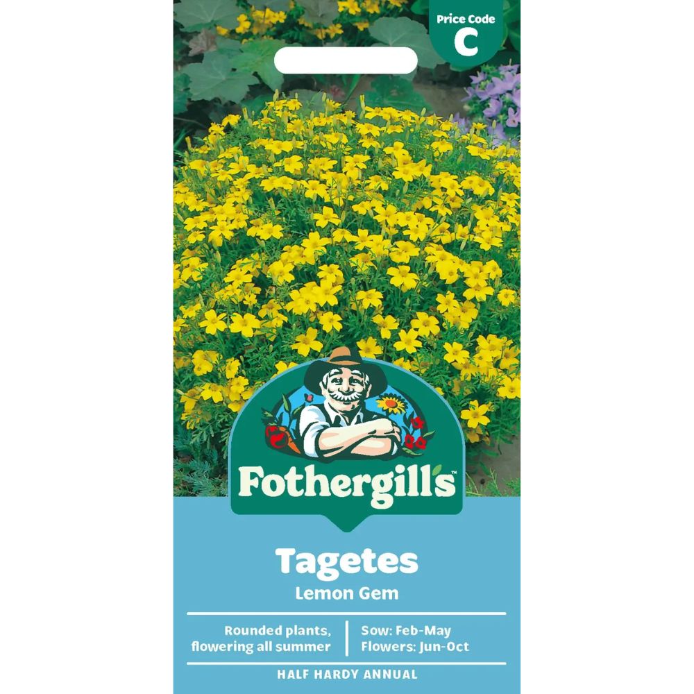 Mr Fothergill's Tagetes Lemon Gem Seeds