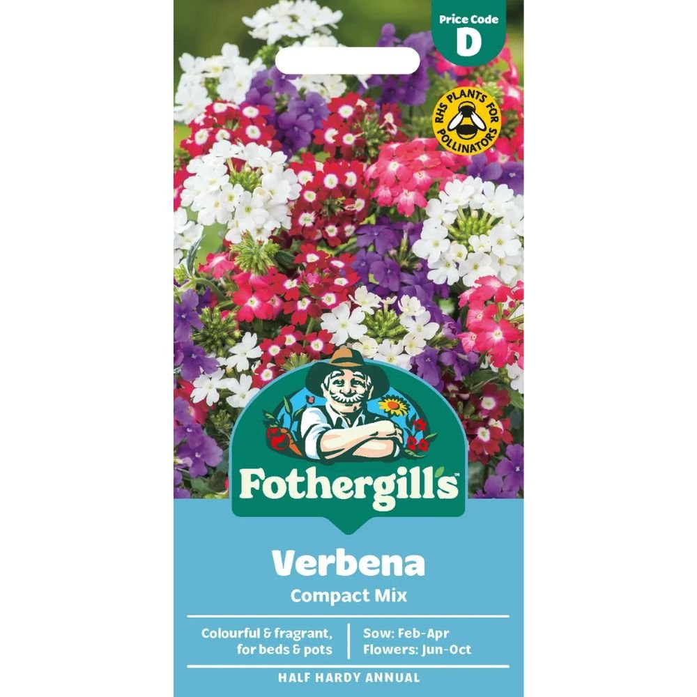 Mr Fothergill's Verbena Compact Mixed Seeds - Old Railway Line Garden Centre