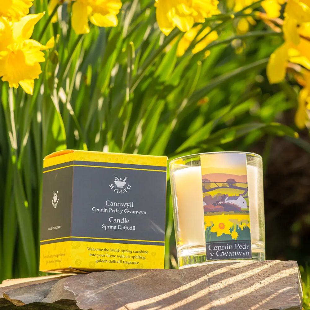 Myddfai 30cl Candle Cennin Pedr y Gwanwyn (Spring Daffodil)