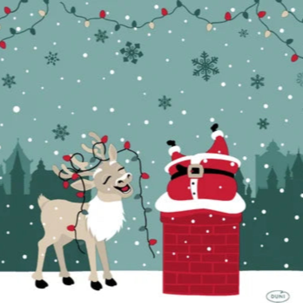 N J Products 33cm Jolly Journey Napkins