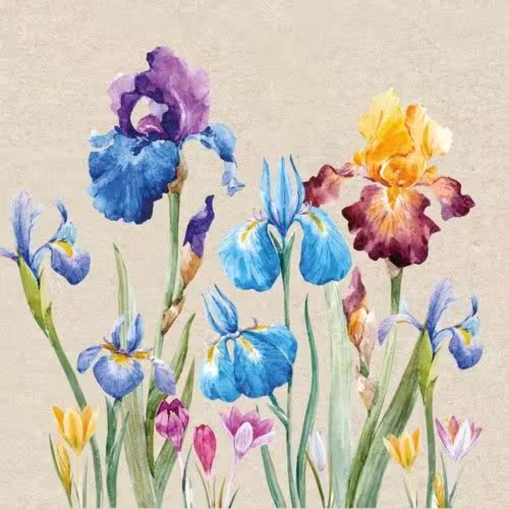 N.J Products Iris Paper Napkins - Pack of 20