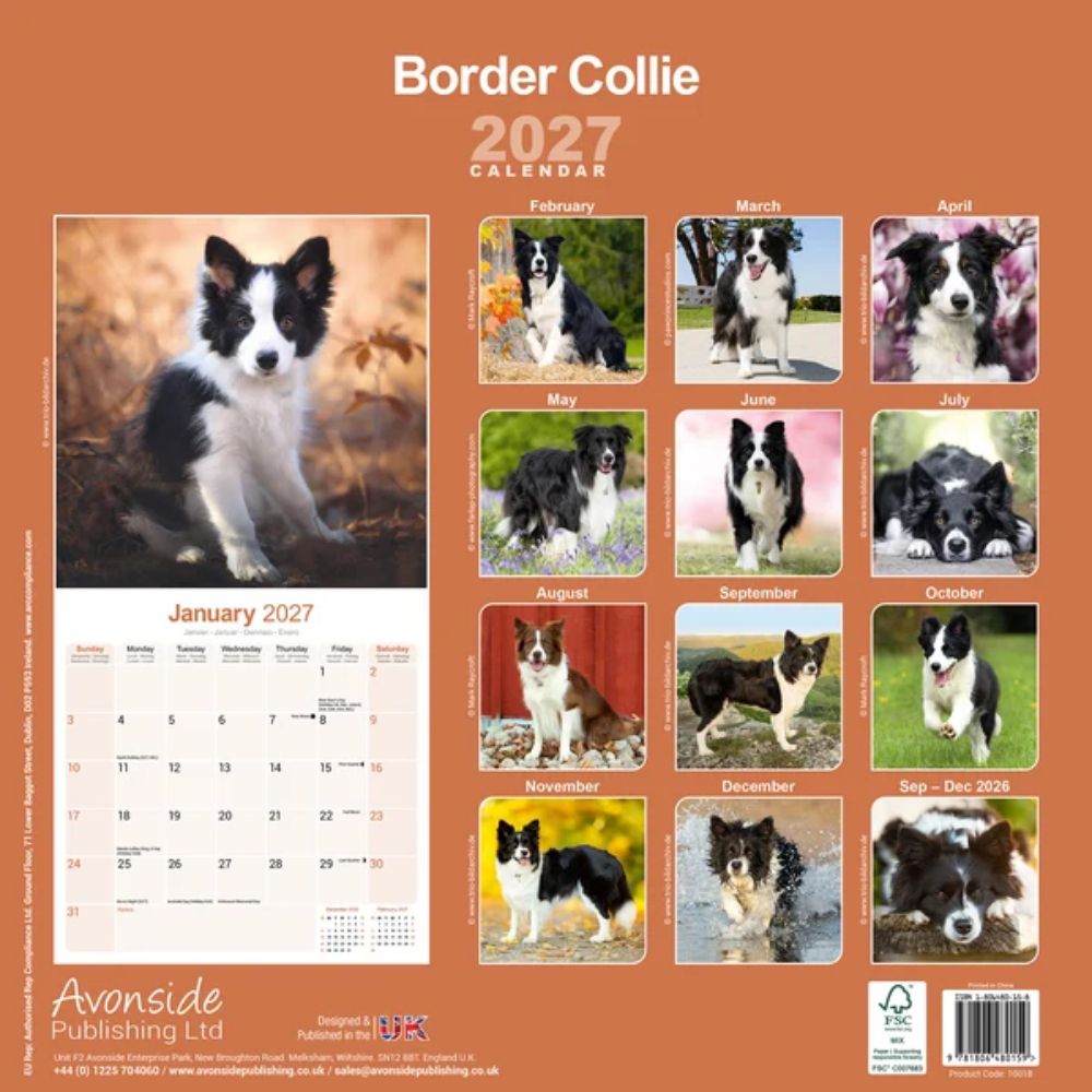 Otter House Border Collie Wall Calendar 2027