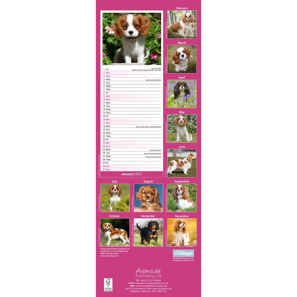 Otter House Cavalier King Charles Spaniel Slim Calendar 2027