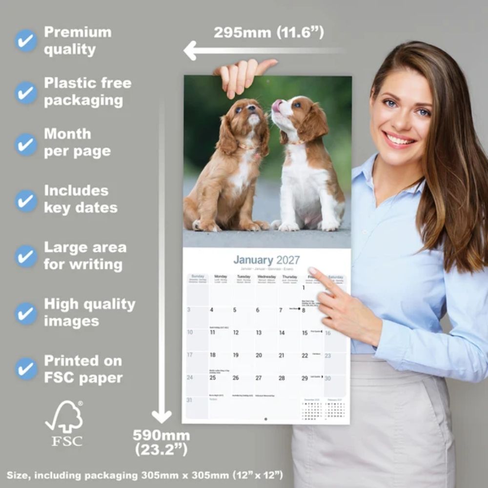 Otter House Cavalier King Charles Spaniel Wall Calendar 2027