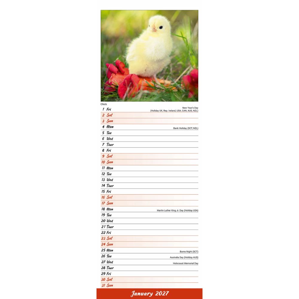 Otter House Chickens Slim Calendar 2027
