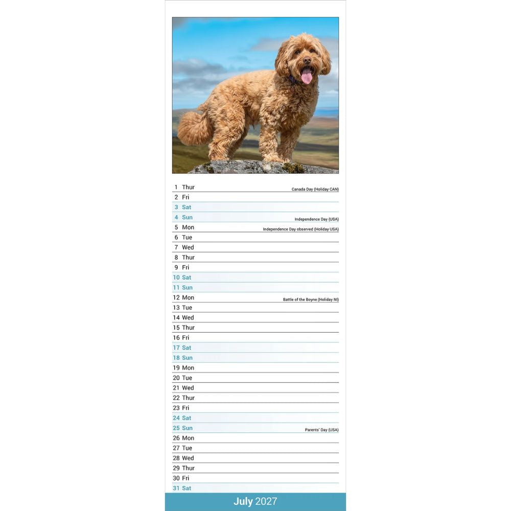 Otter House Cockapoo Slim Calendar 2027