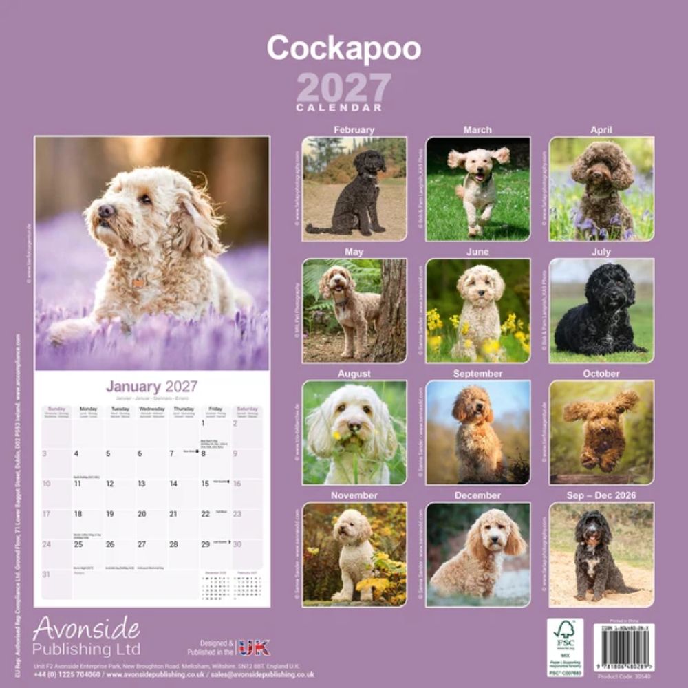Otter House Cockapoo Wall Calendar 2027