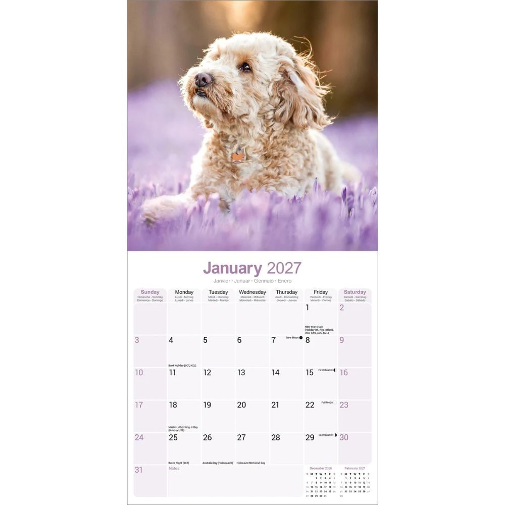Otter House Cockapoo Wall Calendar 2027