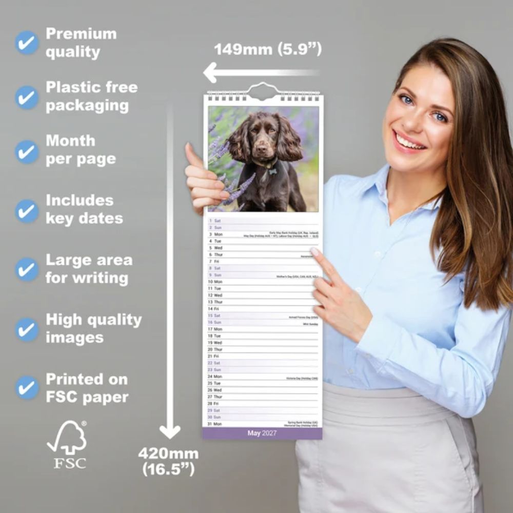 Otter House English Cocker Spaniel Slim Calendar 2027
