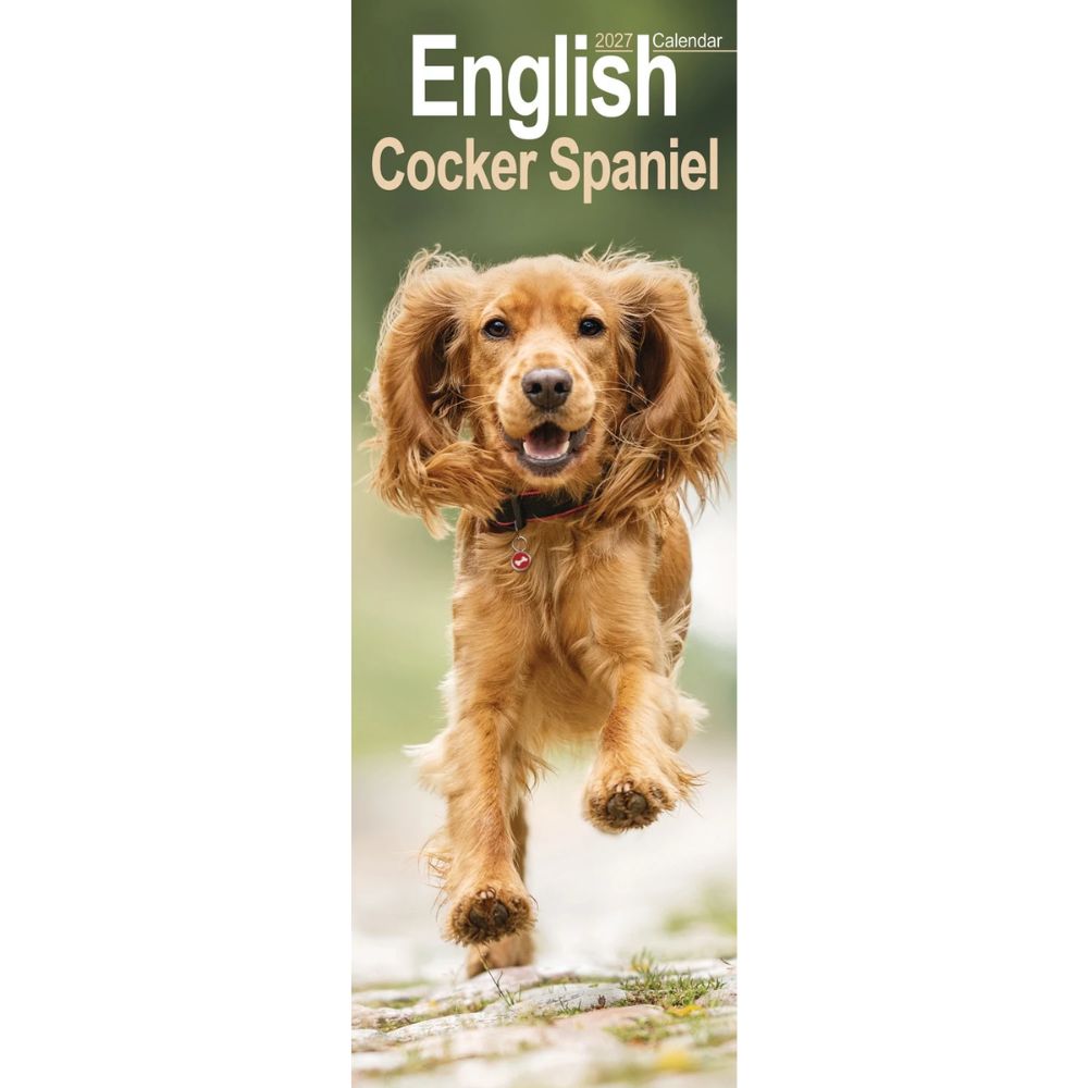 Otter House English Cocker Spaniel Slim Calendar 2027