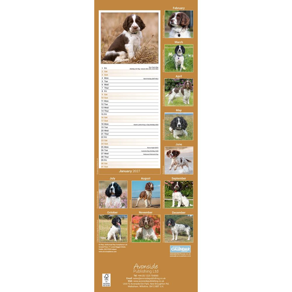 Otter House English Springer Spaniel Slim Calendar 2027