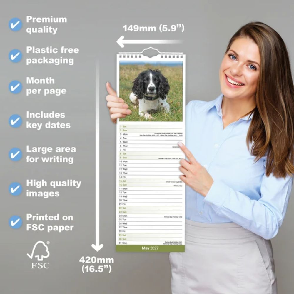 Otter House English Springer Spaniel Slim Calendar 2027