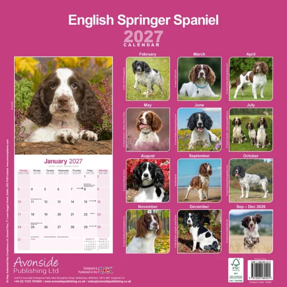 Otter House English Springer Spaniel Wall Calendar 2027