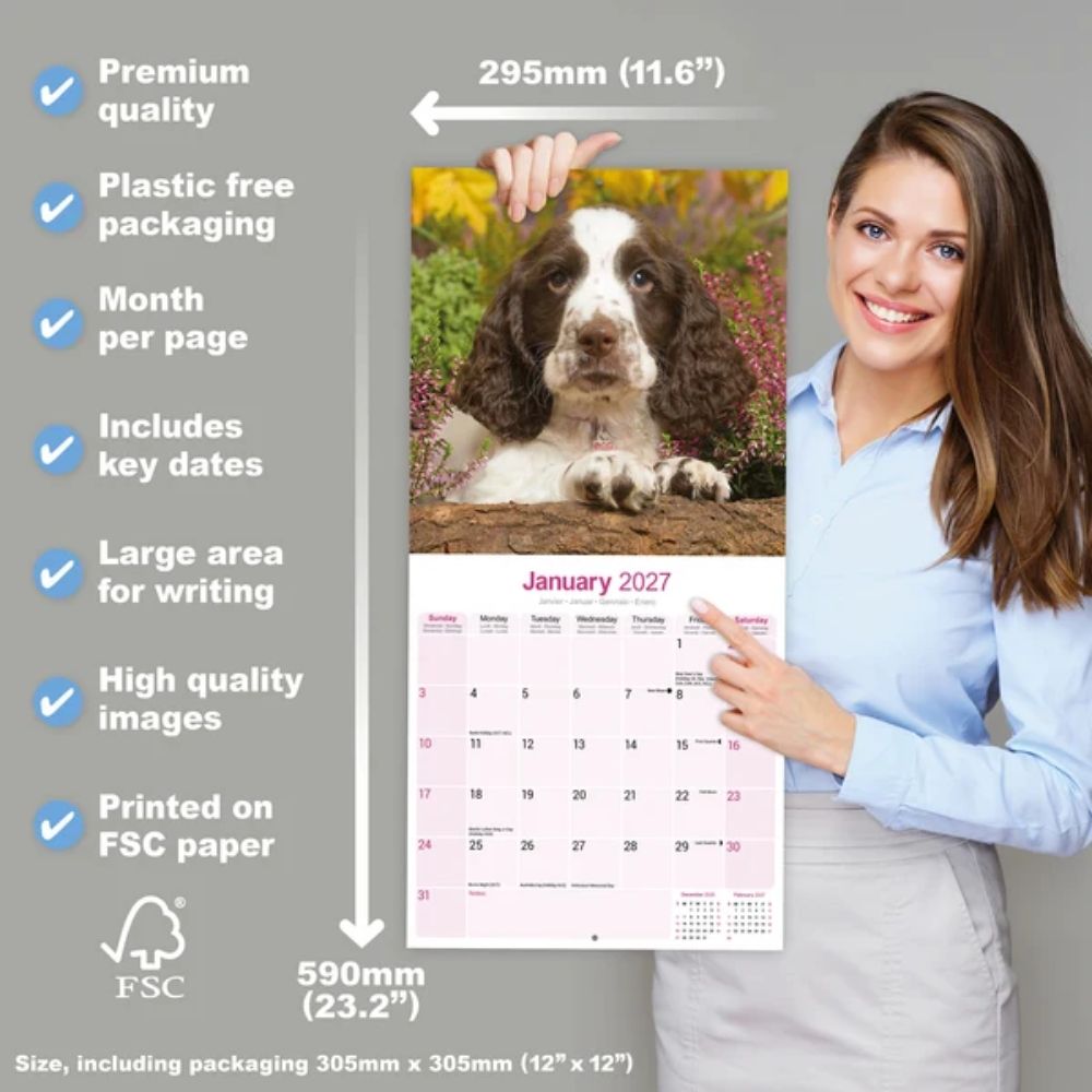 Otter House English Springer Spaniel Wall Calendar 2027