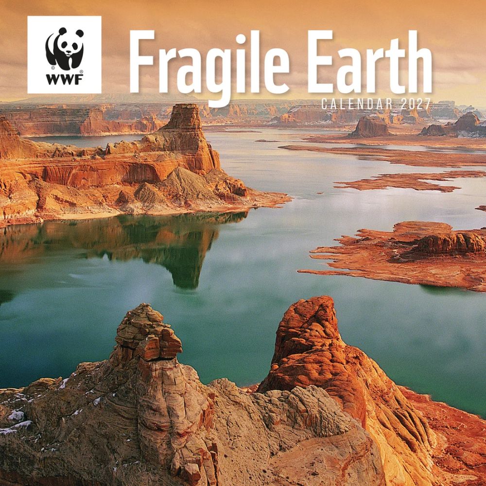 Otter House Fragile Earth WWF Wall Calendar 2027