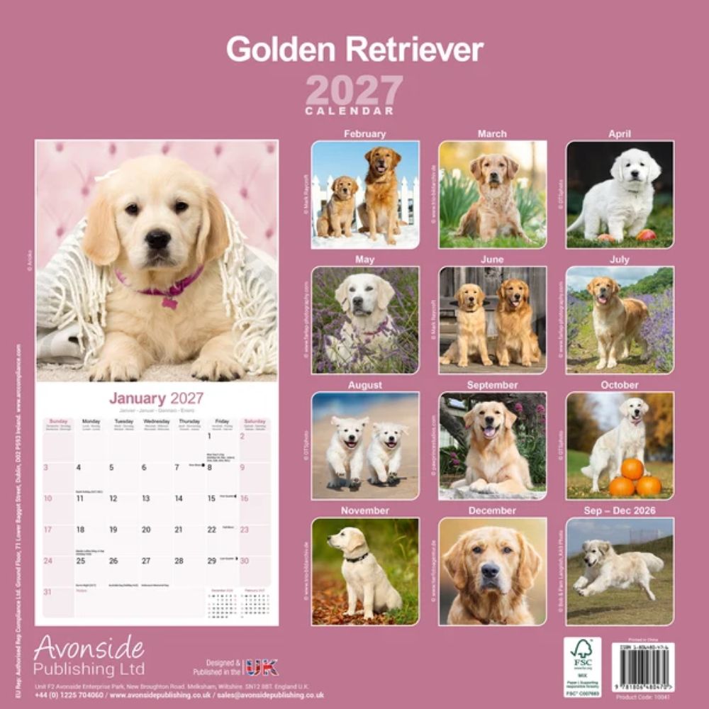 Otter House Golden Retriever Wall Calendar 2027