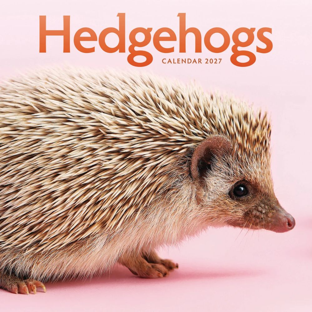 Otter House Hedgehogs Wall Calendar 2027