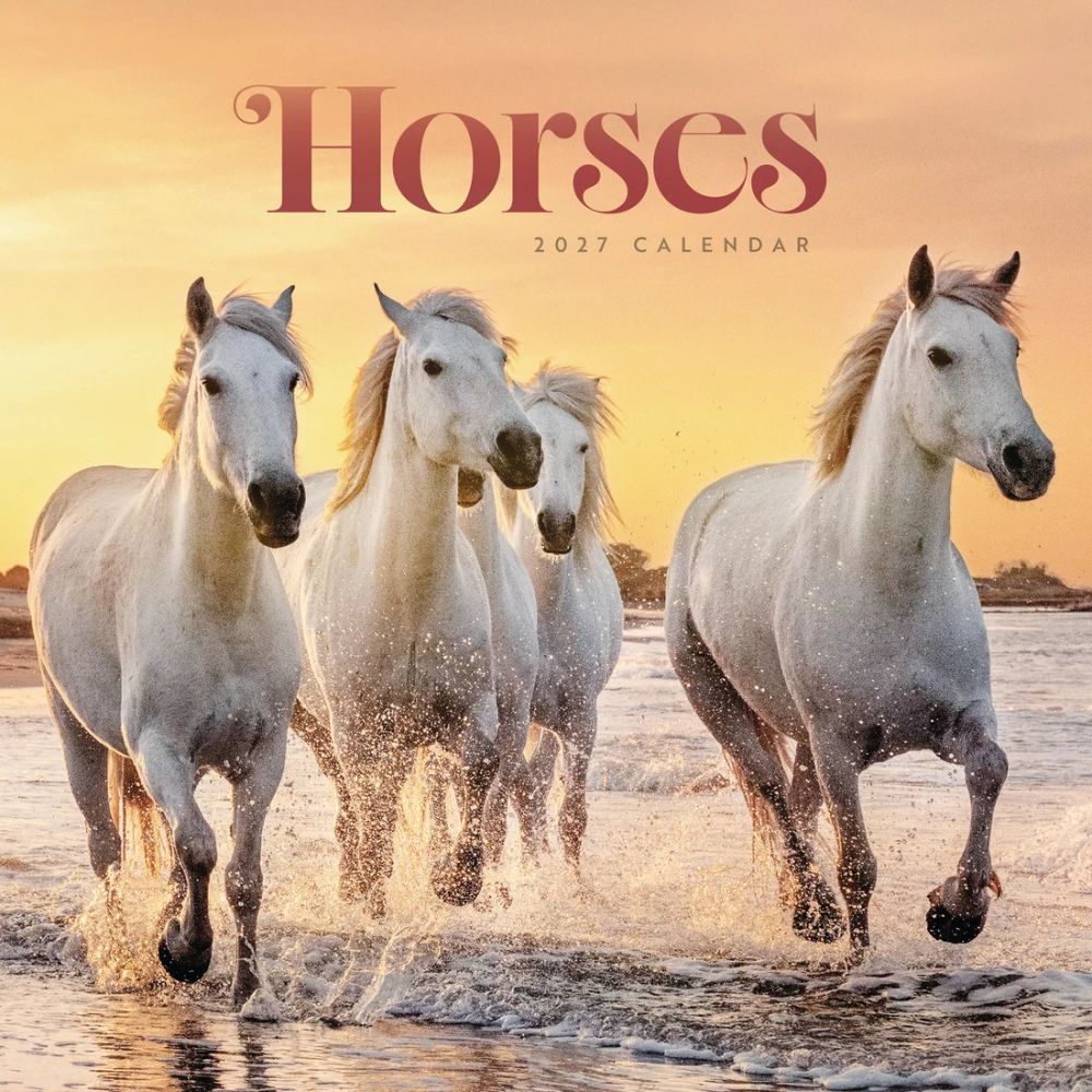 Otter House Horses Wiro Wall Calendar 2027