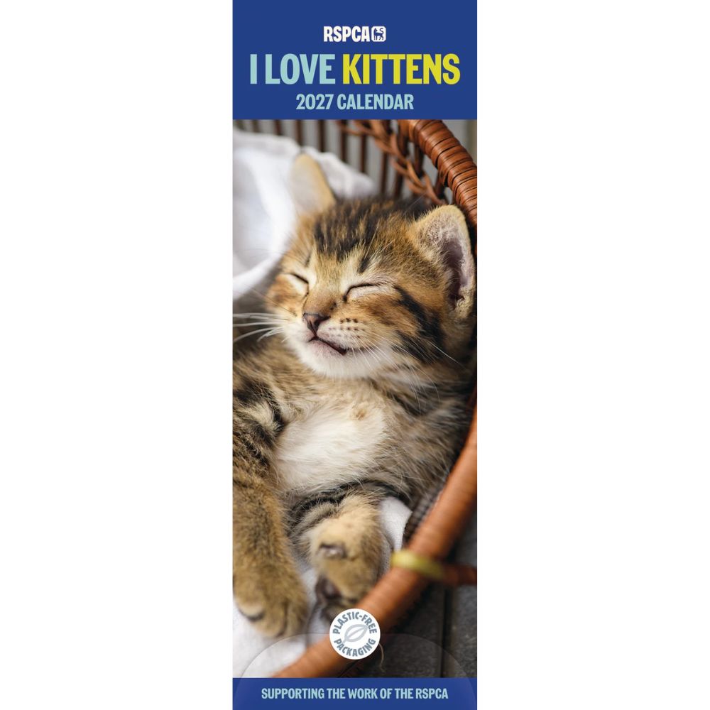 Otter House Kittens, I Love RSPCA Slim Calendar 2027