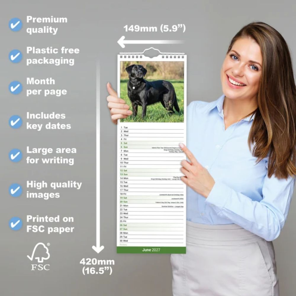 Otter House Labrador Retriever Black Slim Calendar 2027