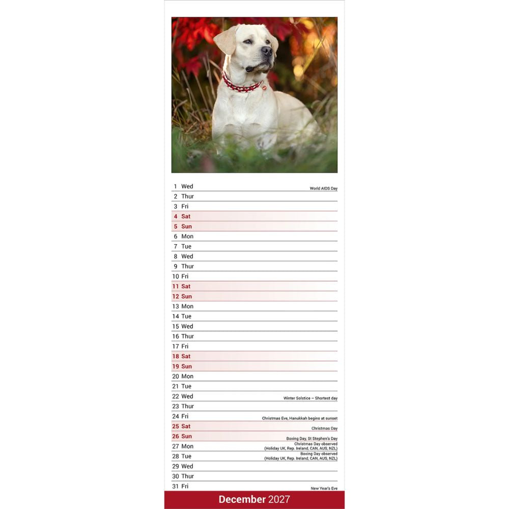 Otter House Labrador Retriever Yellow Slim Calendar 2027