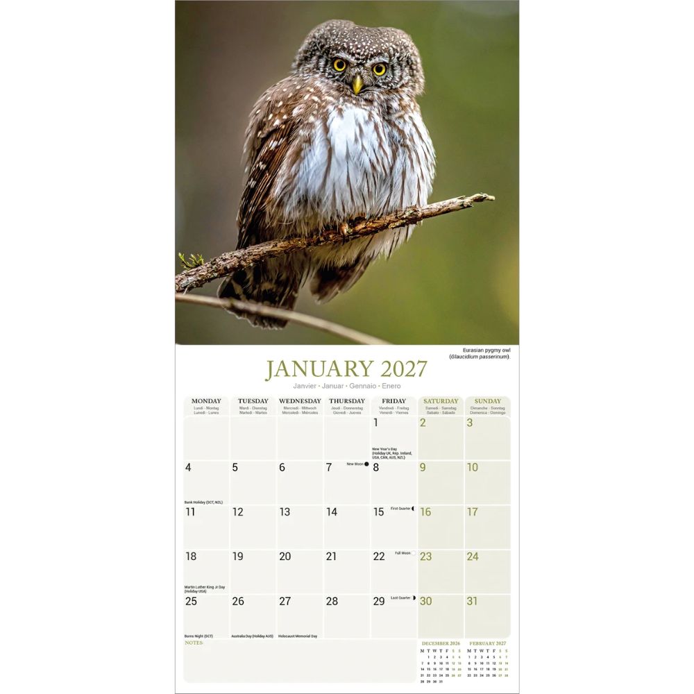 Otter House Owls Wall Calendar 2027