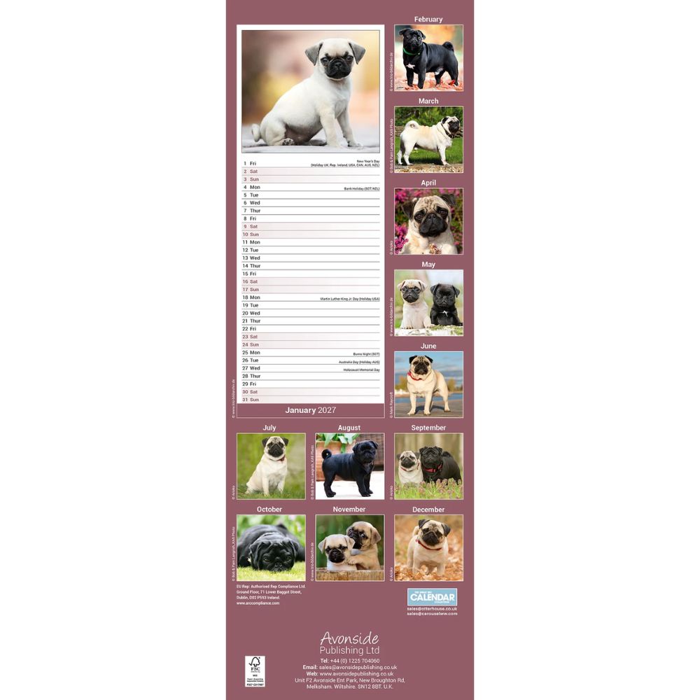 Otter House Pug Slim Calendar 2027