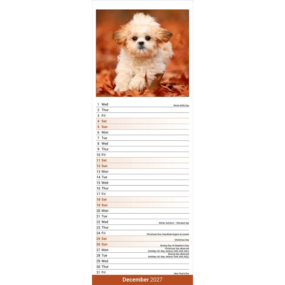 Otter House Shih Tzu Slim Calendar 2027