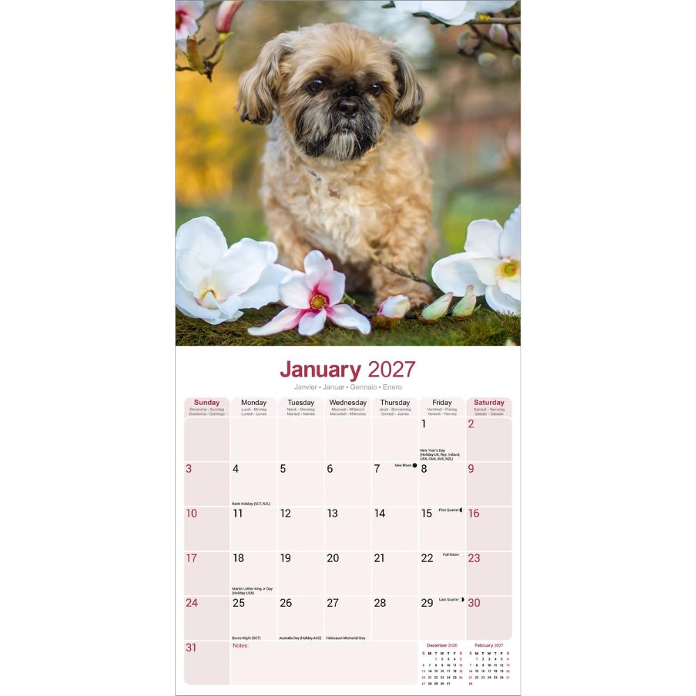 Otter House Shih Tzu Wall Calendar 2027