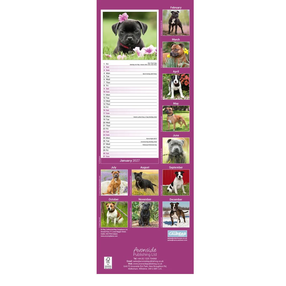 Otter House Staffordshire Bull Terrier Slim Calendar 2027