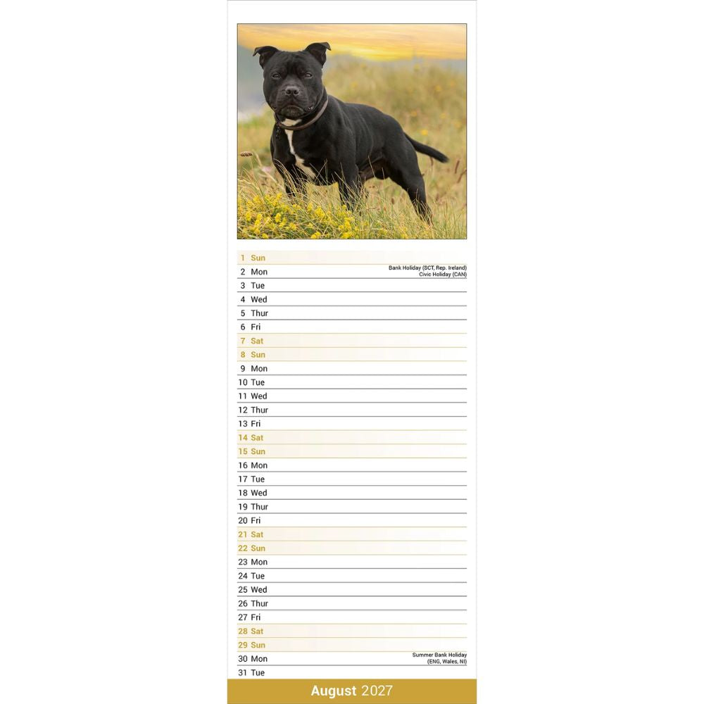 Otter House Staffordshire Bull Terrier Slim Calendar 2027