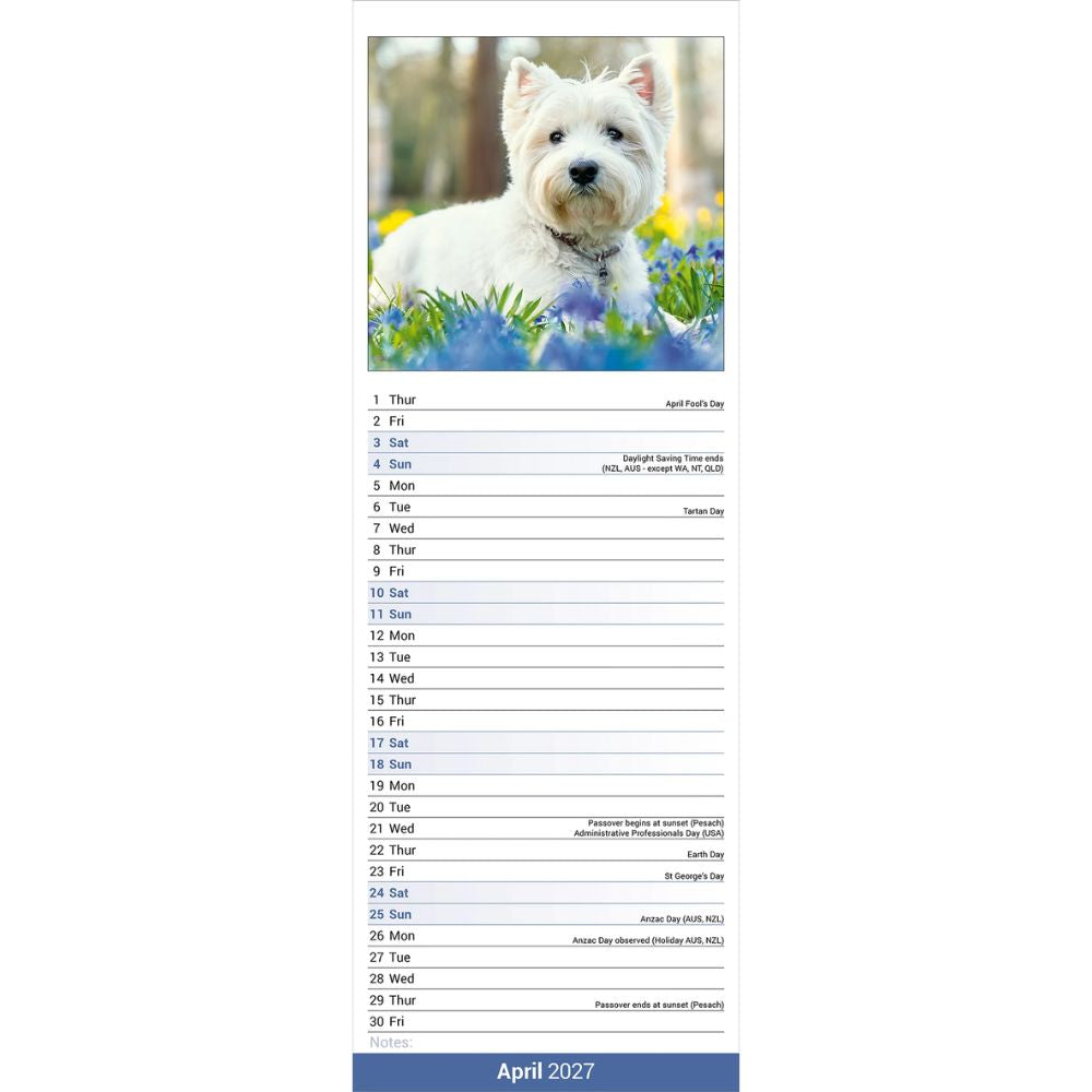 Otter House West Highland White Terrier Slim Calendar 2027