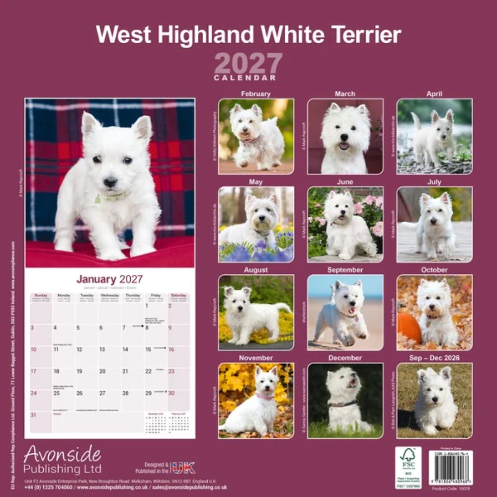 Otter House West Highland White Terrier Wall Calendar 2027