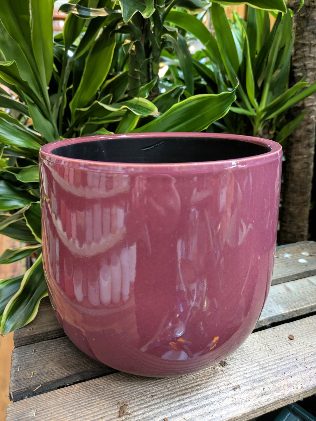 Mica Decorations 16cm Purple Pablo Round Pot