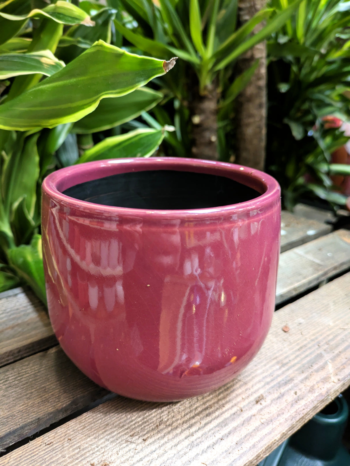 Mica Decorations 12cm Purple Pablo Round Pot