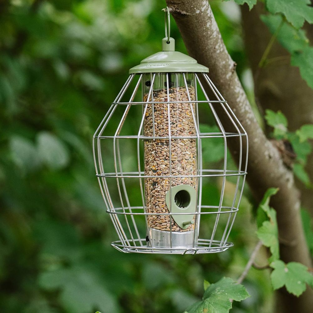Peckish 27cm Canto Squirrel Proof Seed Feeder