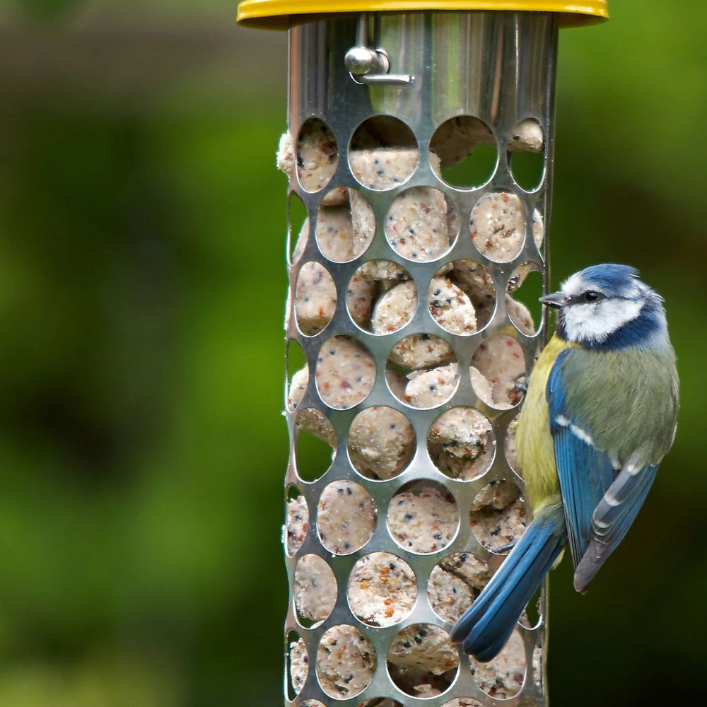 Peckish 50 Extra Goodness Nuggets