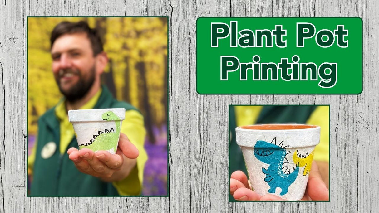 Summer of Fun - Plant Pot Printing - 4th August